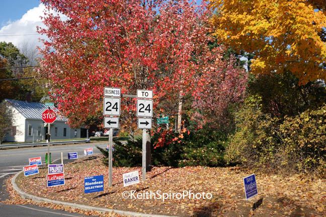 fall foliage & election signage photo by keith spiro