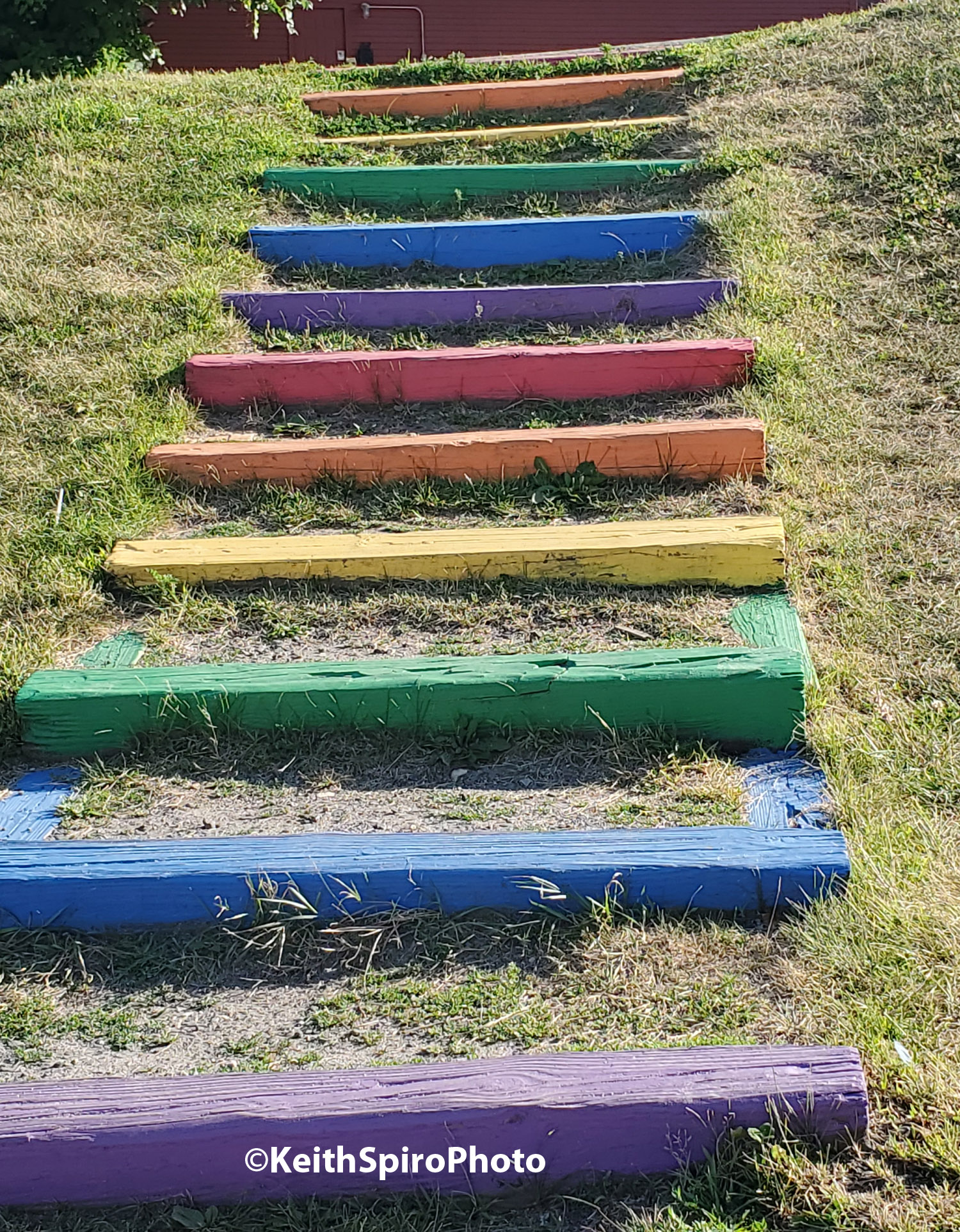 Monday Looking Forward Not Backward