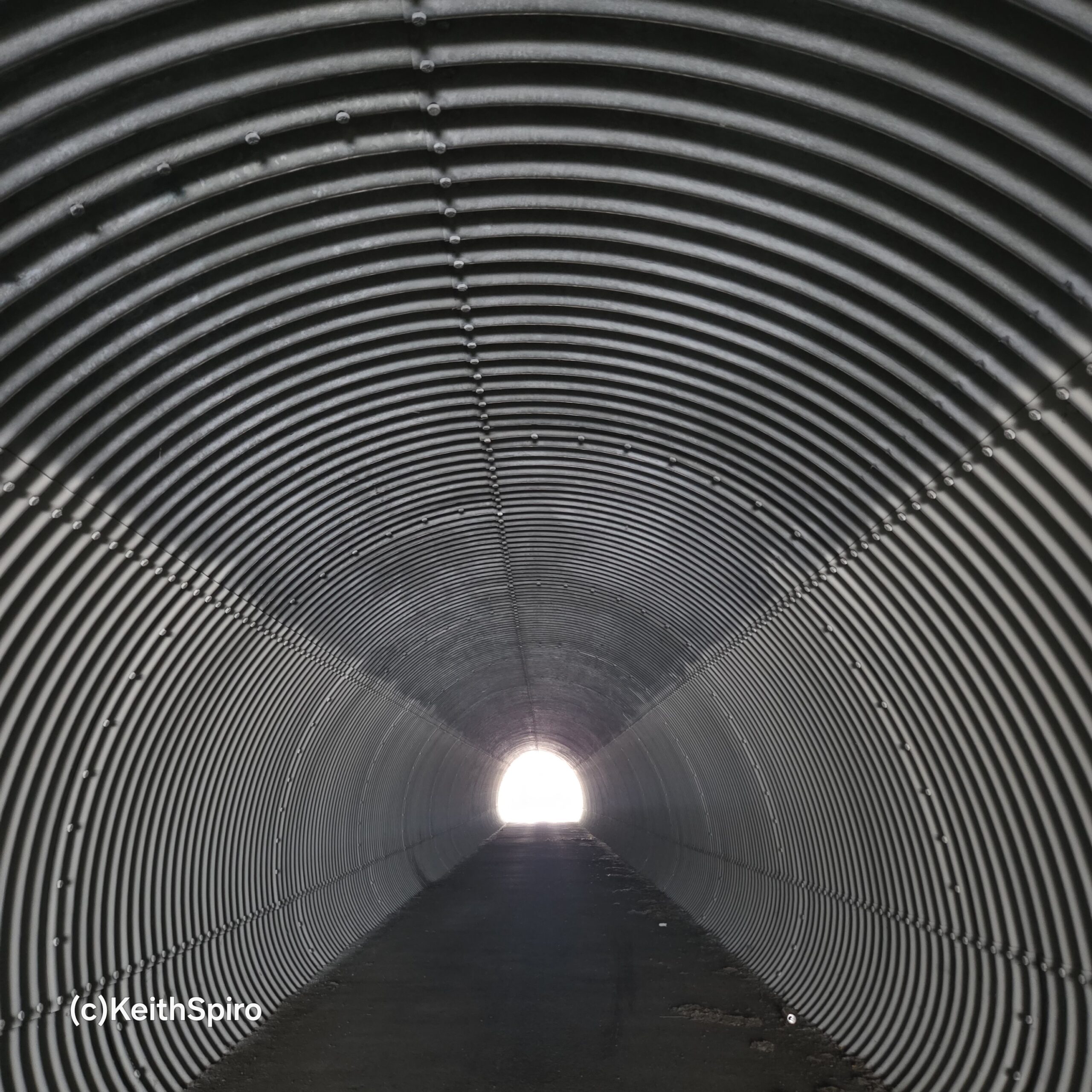 Twilight Zone Ghosts